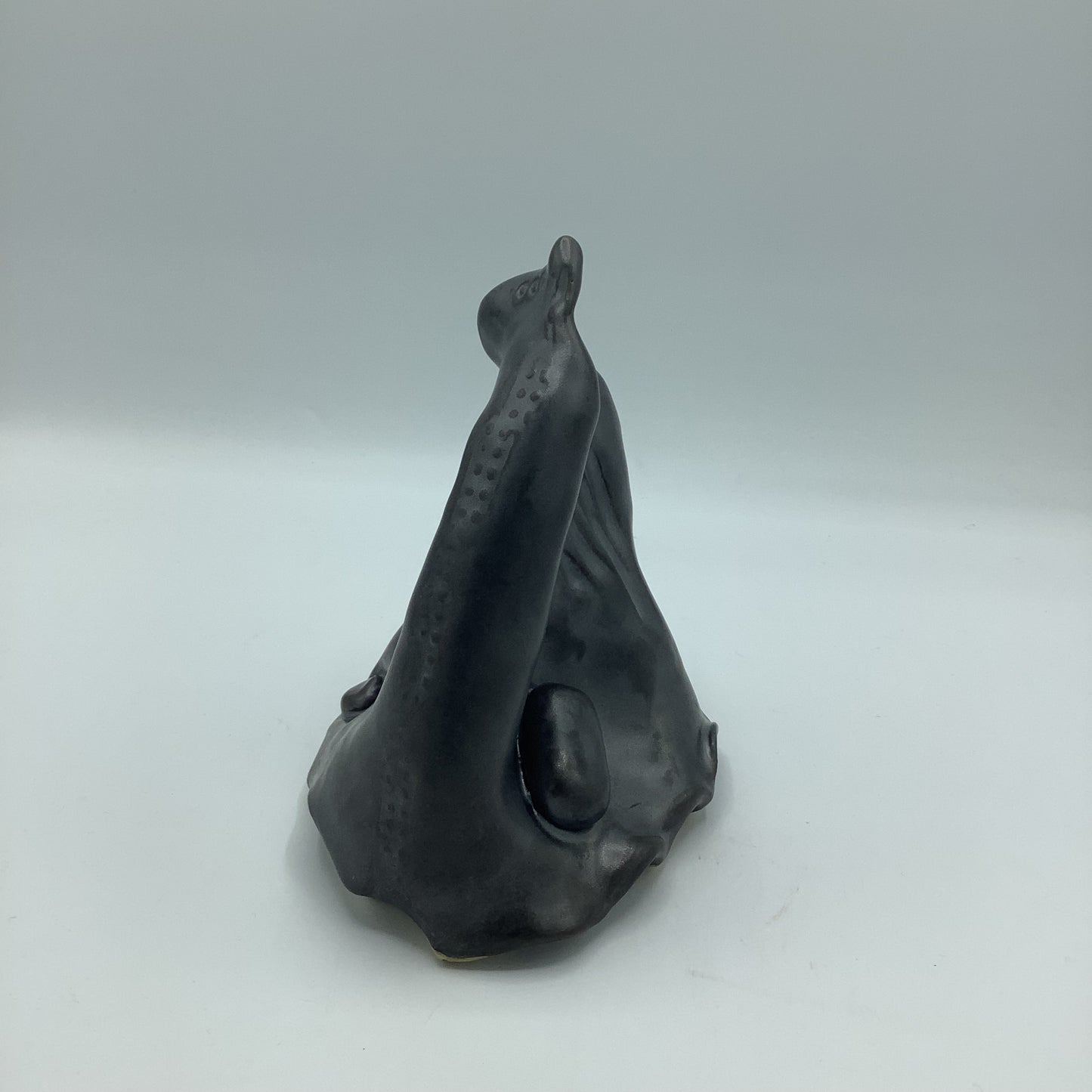 Thrown and Altered - Rocky Mountains