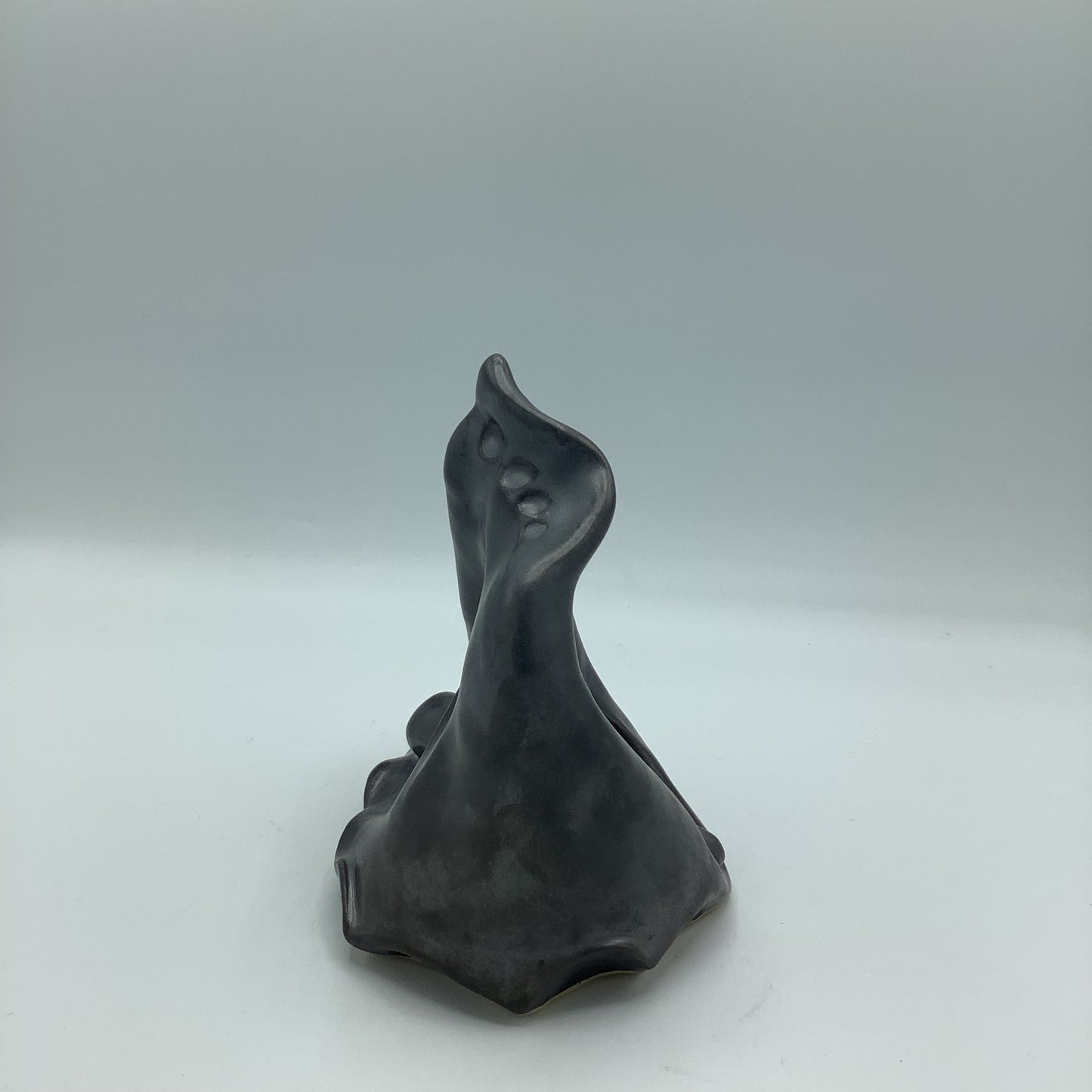 Thrown and Altered - Rocky Mountains