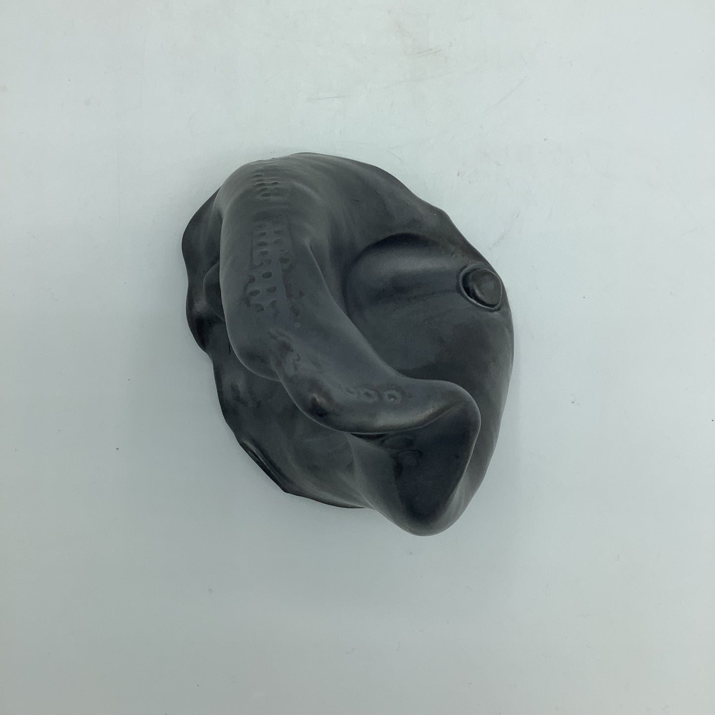 Thrown and Altered - Rocky Mountains